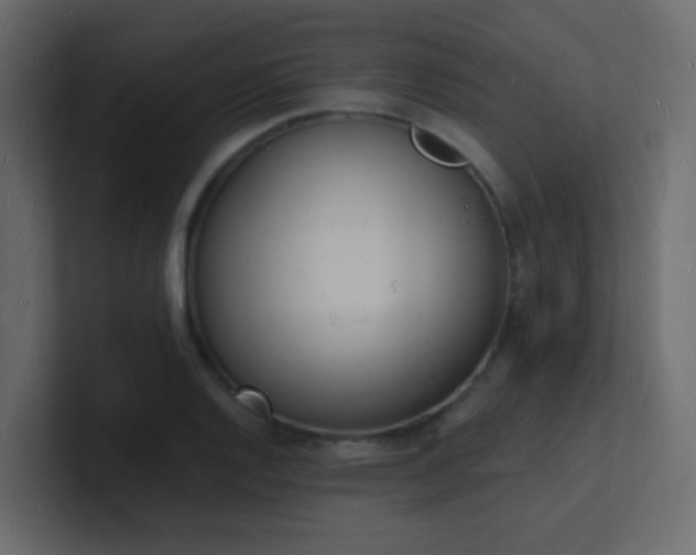 X0000101671128200807101354
