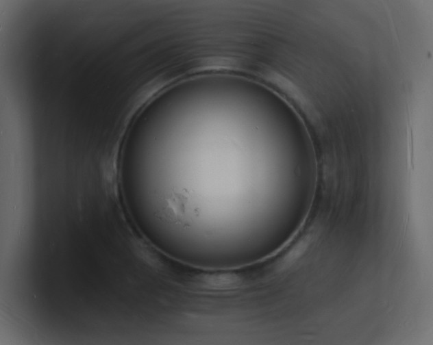 X0000101671129200807101354