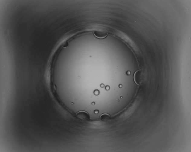 X0000101671130200807101354