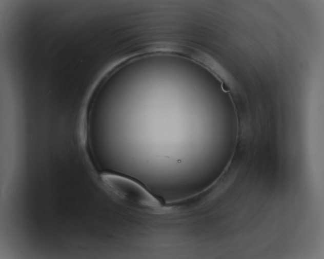 X0000101671132200807101354