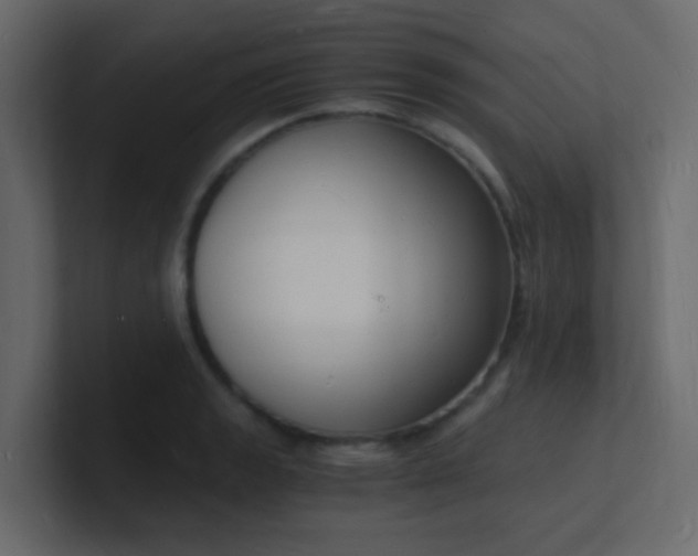 X0000101671133200807101354