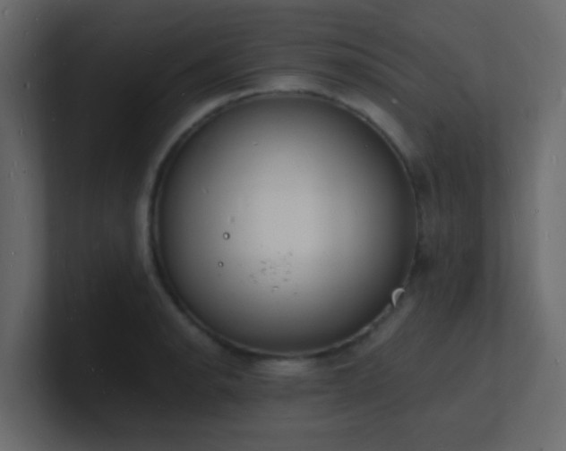 X0000101671134200807101354