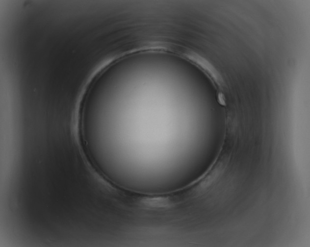 X0000101671135200807101354