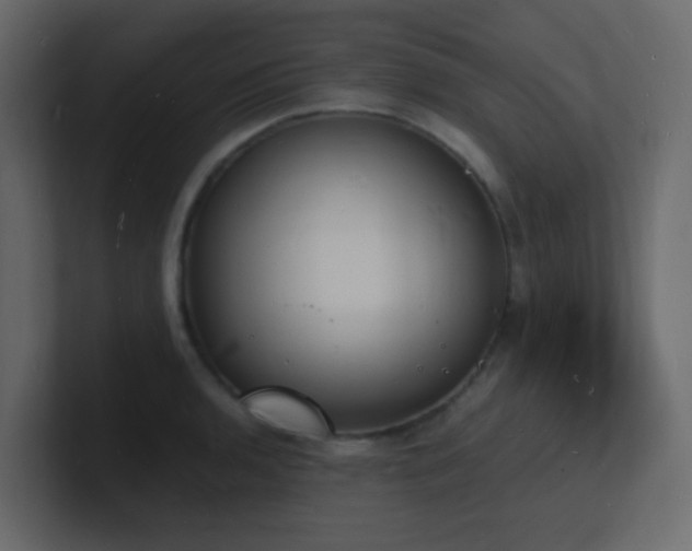 X0000101671136200807101354