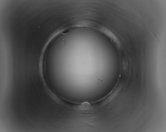 X0000101671138200807101354