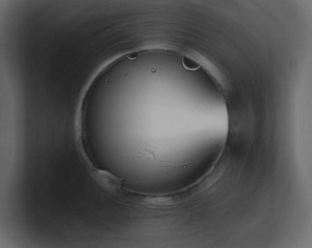 X0000101671140200807101354