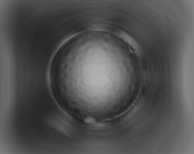 X0000101671141200807101354