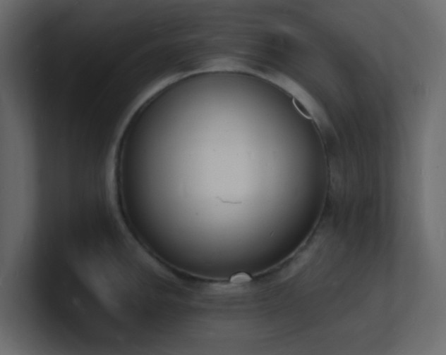X0000101671142200807101354