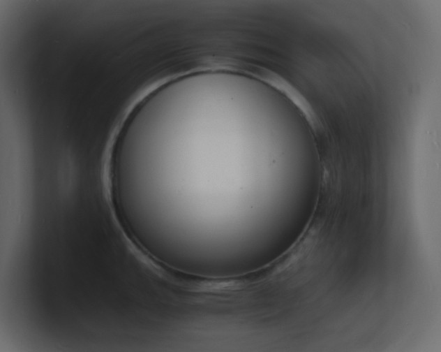 X0000101671143200807101354