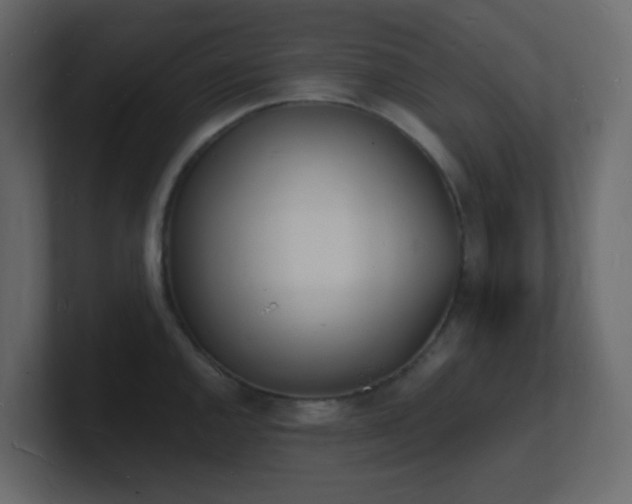 X0000101671144200807101354