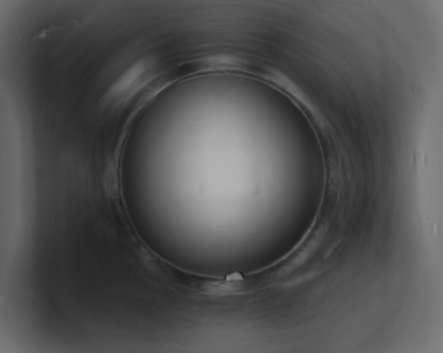 X0000101671145200807101354