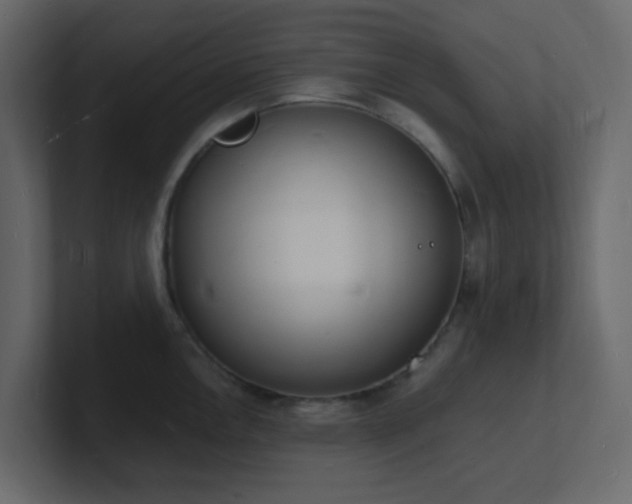 X0000101671146200807101354