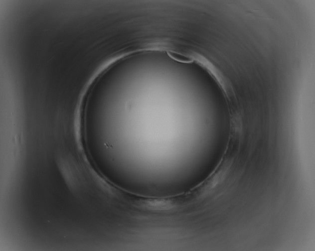 X0000101671147200807101354