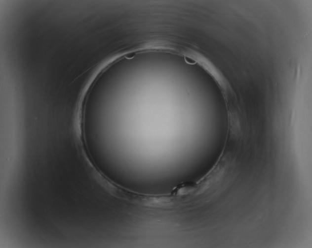 X0000101671148200807101354