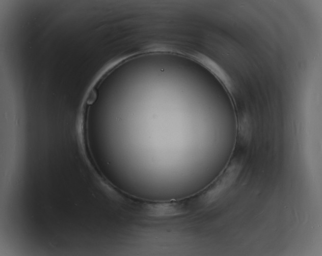 X0000101671149200807101354
