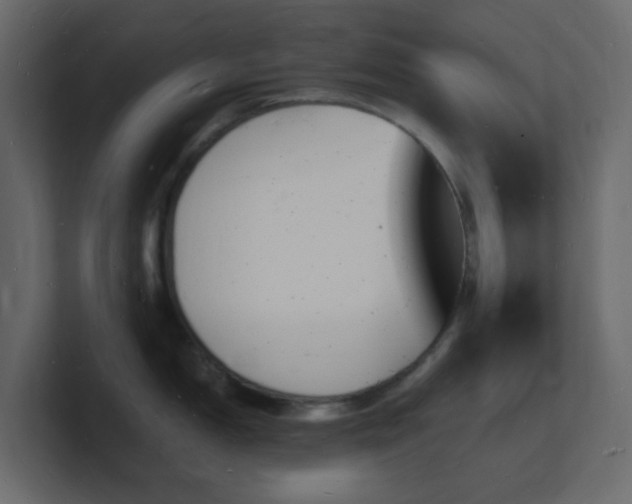 X0000101671150200807101354