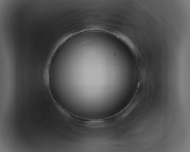X0000101671151200807101354