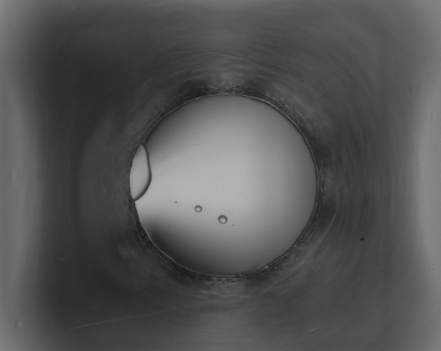X0000101671153200807101354