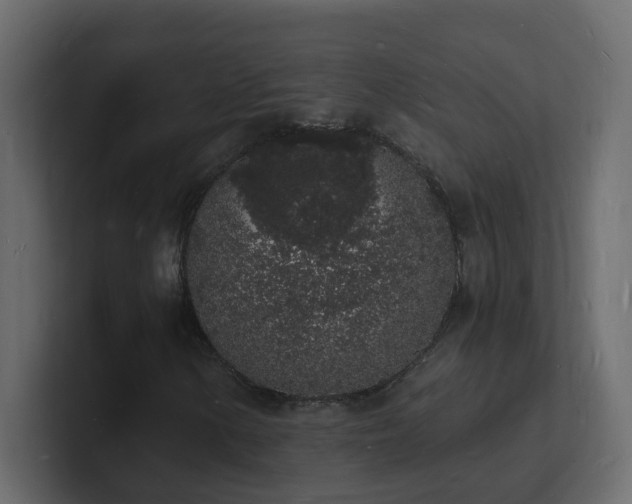 X0000101671154200807101354