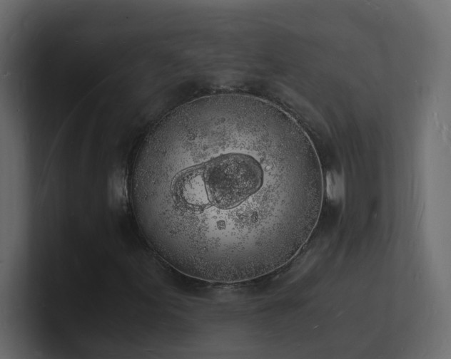 X0000101671155200807101354