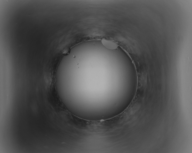 X0000101671157200807101354