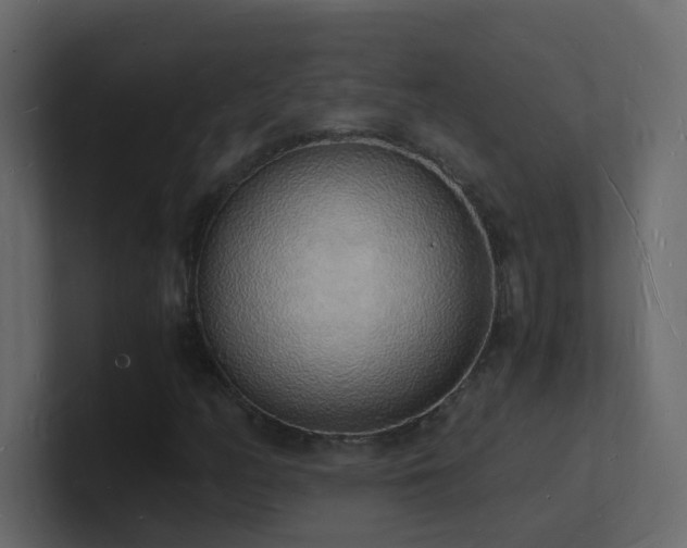 X0000101671158200807101354