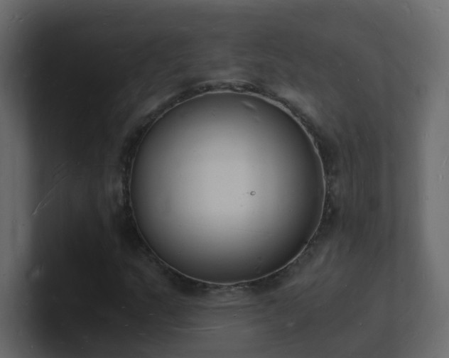 X0000101671159200807101354