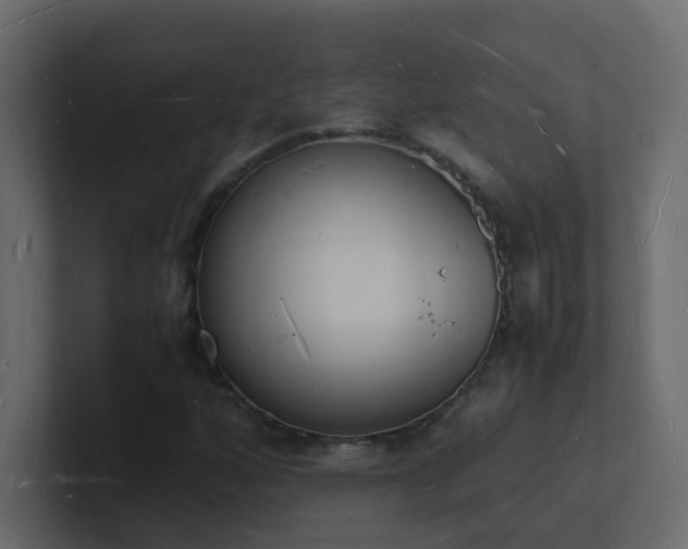 X0000101671160200807101354