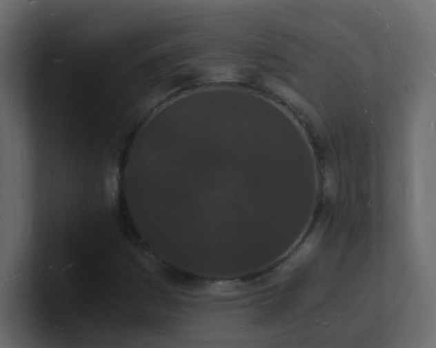 X0000101671161200807101354