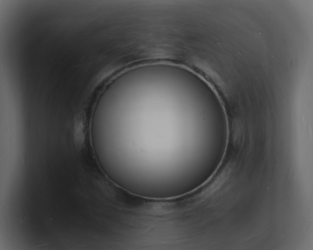 X0000101671163200807101354