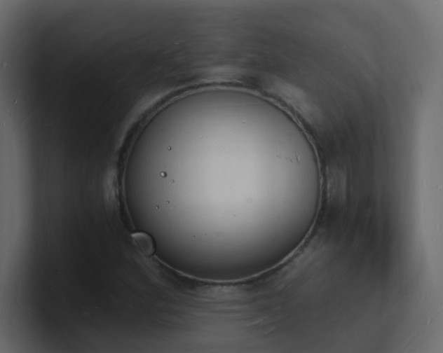 X0000101671164200807101354