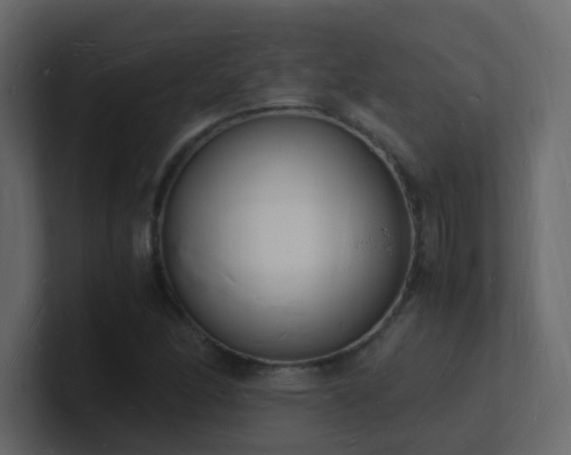 X0000101671166200807101354