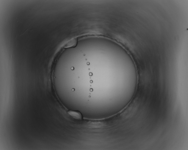 X0000101671168200807101354