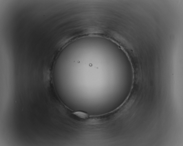 X0000101671169200807101354