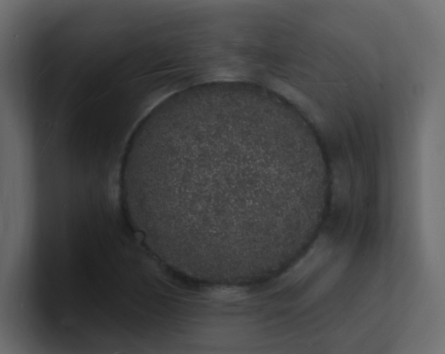 X0000101671170200807101354