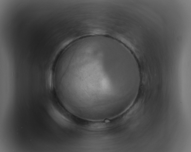X0000101671171200807101354