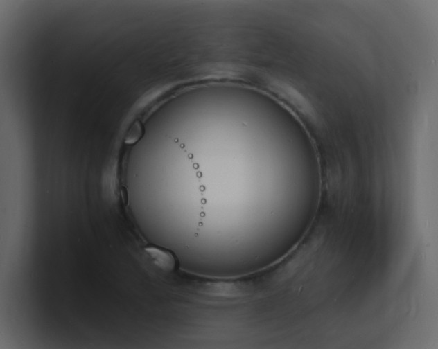X0000101671172200807101354