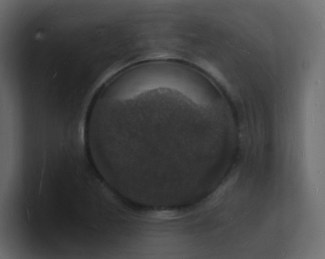 X0000101671173200807101354