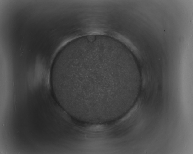 X0000101671174200807101354