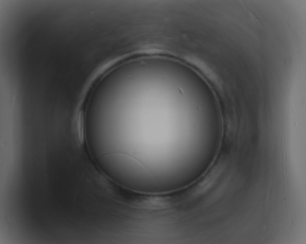 X0000101671175200807101354
