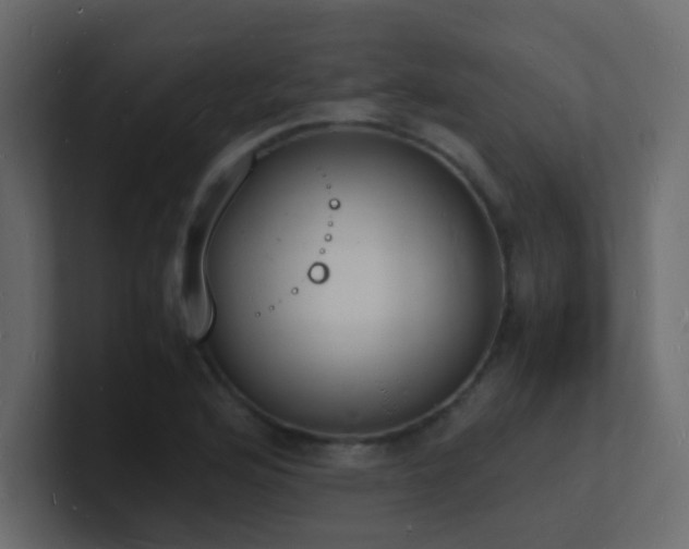 X0000101671176200807101353