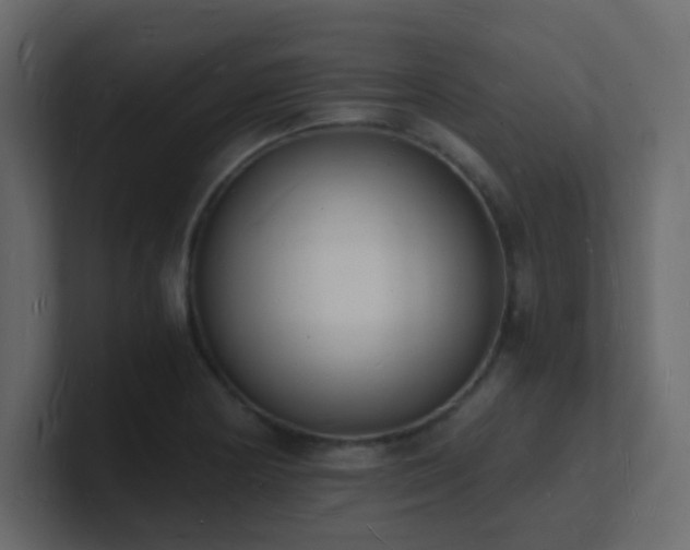 X0000101671178200807101353