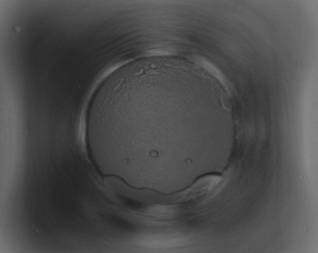 X0000101671179200807101353