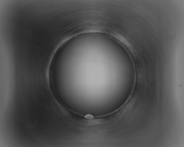 X0000101671181200807101353