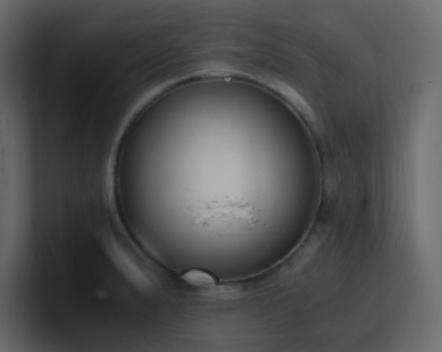 X0000101671183200807101353