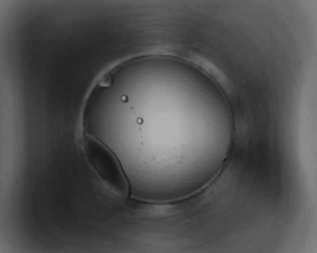 X0000101671184200807101353
