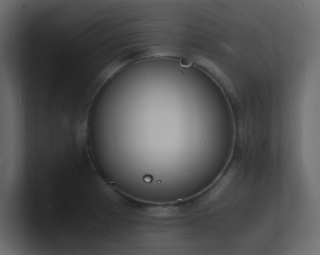 X0000101671185200807101353