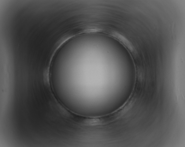 X0000101671186200807101353