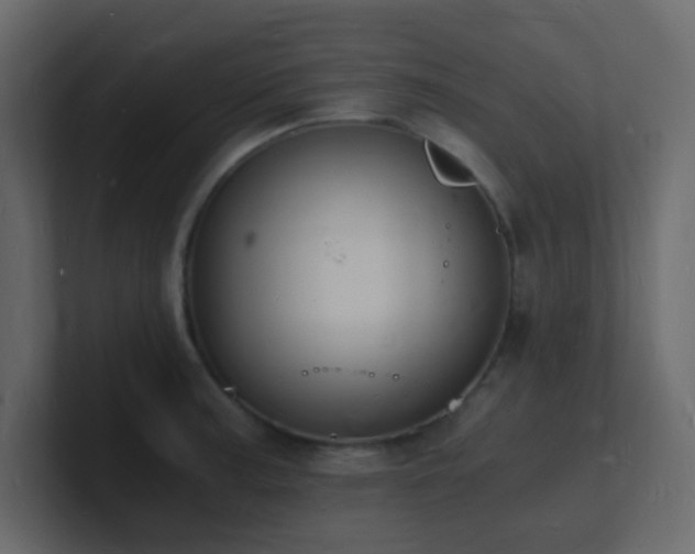 X0000101671187200807101353