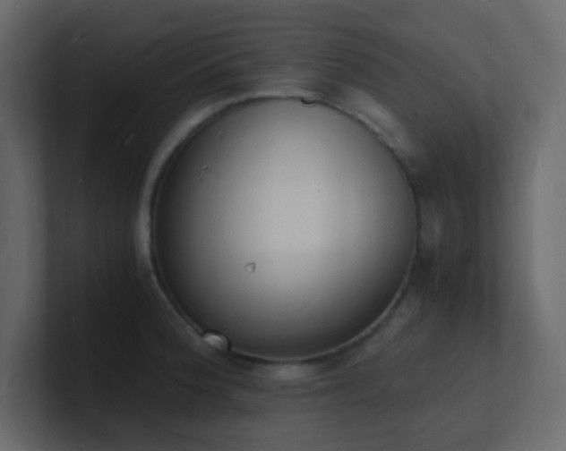 X0000101671188200807101353